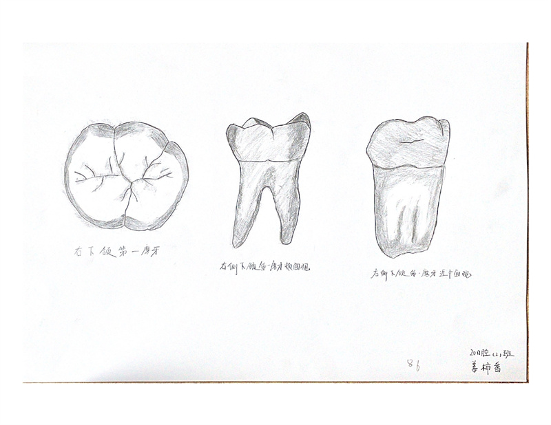 牙体素描照片_page-0008.jpg
